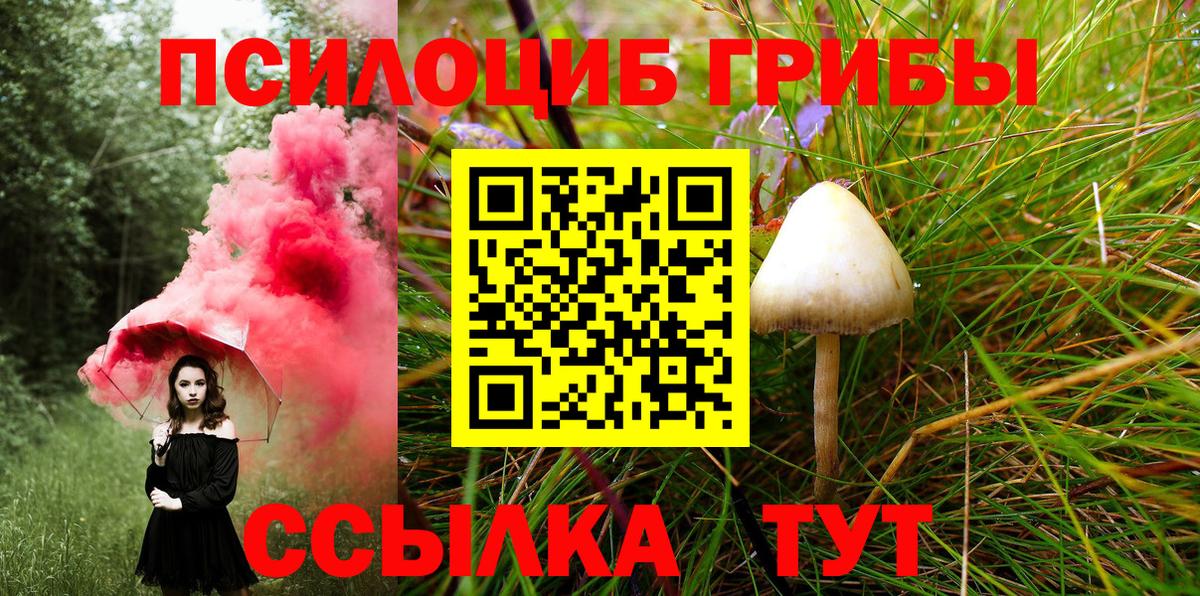 Галлюциногенные грибы прущие грибы Кузнецк