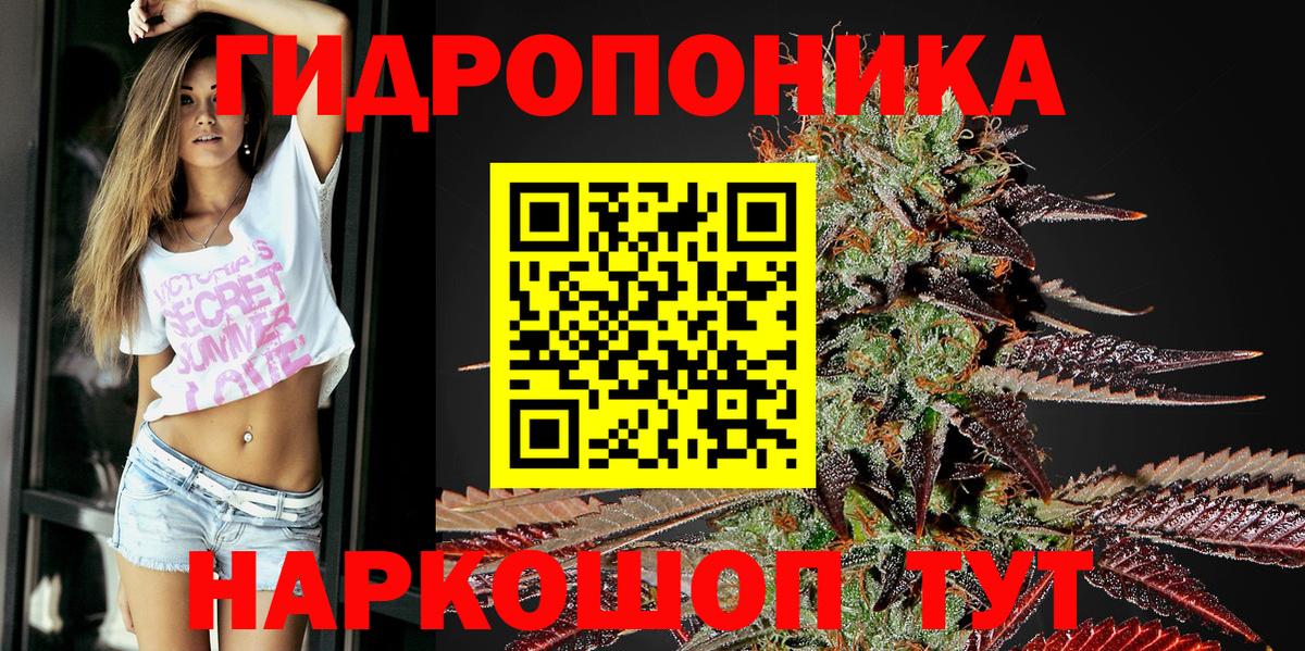 Канабис индика  Конопля план  Кузнецк  Вход с VPN 